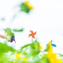 (주)해바라기 이미지