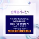 손해평가사 1차 이미지