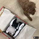 맥스퓨전(MAX FUSION) 이미지