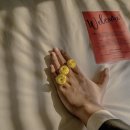 호텔홍단 이미지