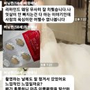 퀸다이어트