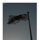 당구장 가는길 이미지