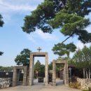 솔뫼성지 소나무 이미지