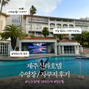 제주달빛 | [제주신라호텔] 3인가족 제주 신라호텔 수영장 후기 🏊🏻‍♀️｜달빛수영, 아침수영 시간·분위기 비교