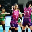 흥국생명 이미지