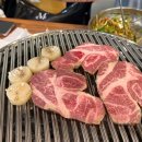 통갈매기바다로날다