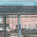 목포마리아회고등학교 | 恋