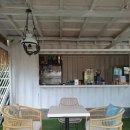 카페다르마 이미지