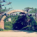 숲속의 정원 이미지