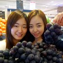 거봉종합식품