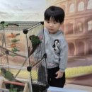 자연생활어린이집 이미지