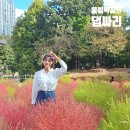 마루공원 축구장_3 | 서울 올림픽공원 들꽃마루 11월 댑싸리 위치 사진꿀팁 주차장 정보 코스모스 끝물