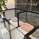 베베그루밍 이미지