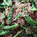 폴리한의원 이미지