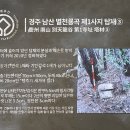 경주 남산 별천룡골 제1사지 석탑부재 설중답사 이미지