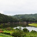 옥천 - 수영구 | 옥천