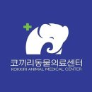 24시 코끼리동물의료센터 이미지