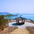 세포마을 이미지