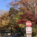 신원사 버스정류장 이미지