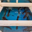 다온계절맛집 이미지