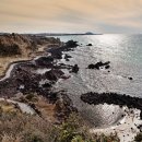 올레청보리민박 이미지