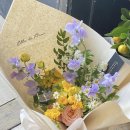 플라워 엘라 이미지