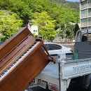 푸른중고 - 목포시 산정로 135 | 푸른중고