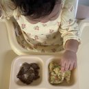 꼬쭈 | 밥태기 극복 일기 2-1