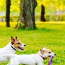 몽글 몽글 이미지