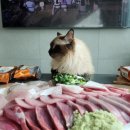 정현상회4