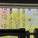 파스쿠찌김해인제대점 이미지