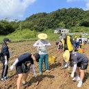 남세종_종합청소년센터 이미지