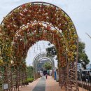 부산관광안내소 이미지