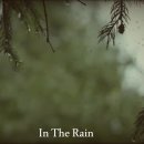 In The Rain ( Revival ) 이미지