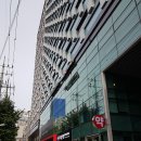 샤렌피부과 네이버블로그