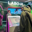 페터뷰티 | 2023 올리브영 페스타 후기 및 미리 갔다온 꿀팁,티켓 시간 대방출