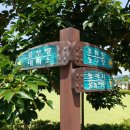 복룡동 시민문화공원 이미지