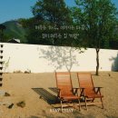 스테이 띠앗 이미지