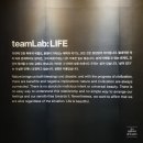생명살림터 | [전시] DDP 동대문 디자인 플라자 'Team Lab:LIFE' 팀랩라이프 전시 후기