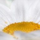 이민준한의원 이미지