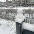 초빼이 이미지
