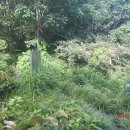 백운산펜션 이미지