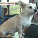 상연농장 이미지