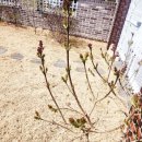 동녘하우스 이미지