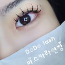 도도네일&속눈썹
