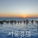 아난티코브