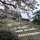 들국화악단 이미지