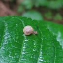 클래식음악과 함께하는 힐링여행 이미지