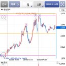 동일사인 이미지