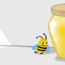 꿀 보관법 이미지